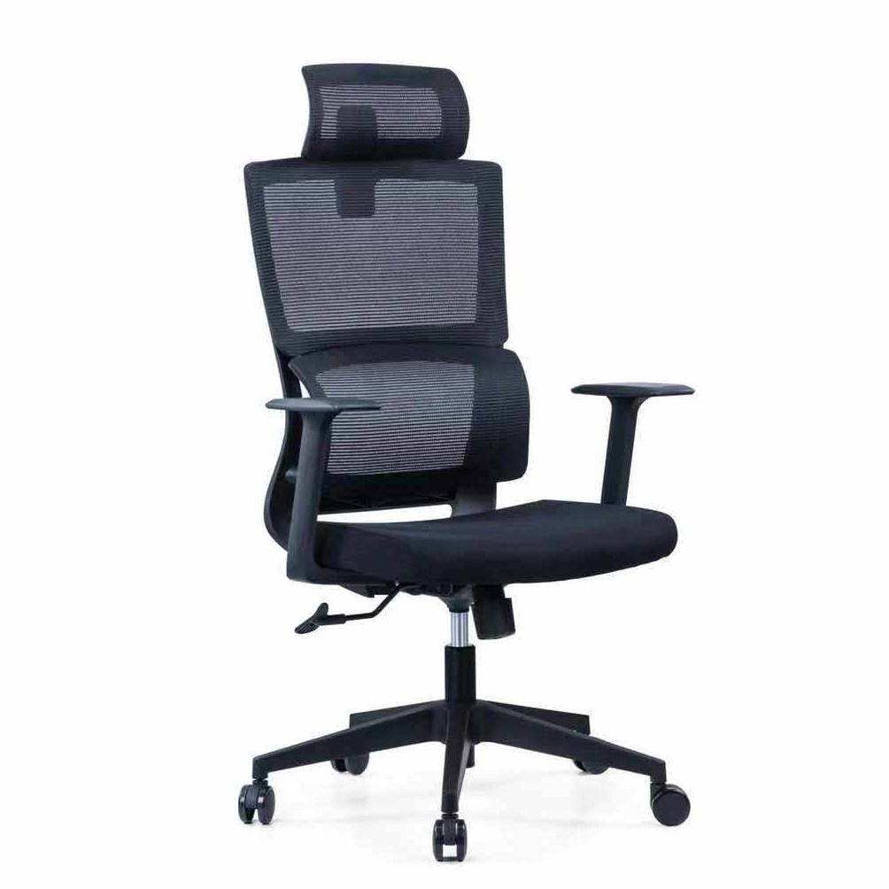 Ergoseat Free Instalation Professional Ergonomic Chair Home Office Computer Chairs (OC233ALP Series) - Free Delivery