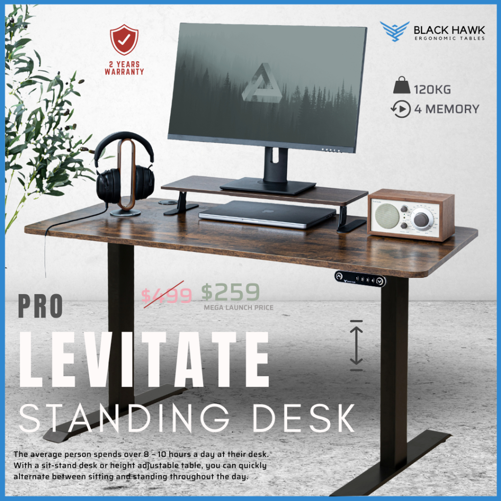 Black Hawk Ergonomic Standing Desk / Standing Table / Electric Desk / Height Adjustable Table