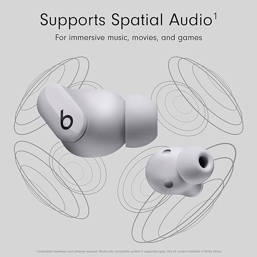 Beats Studio Buds - True Wireless Noise Cancelling Earbuds - Moon Gray with AppleCare+ (2 Years)